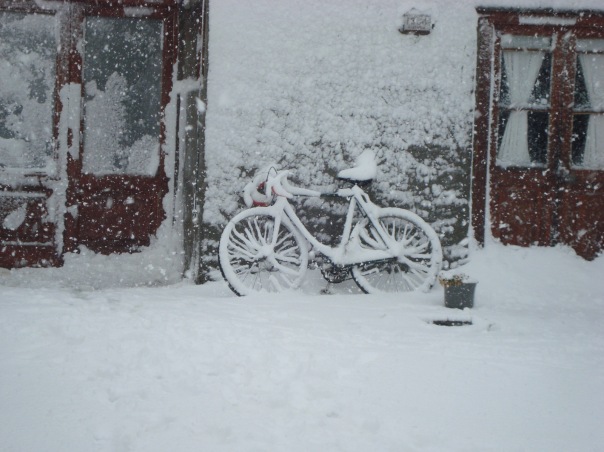 Bicicleta nevada